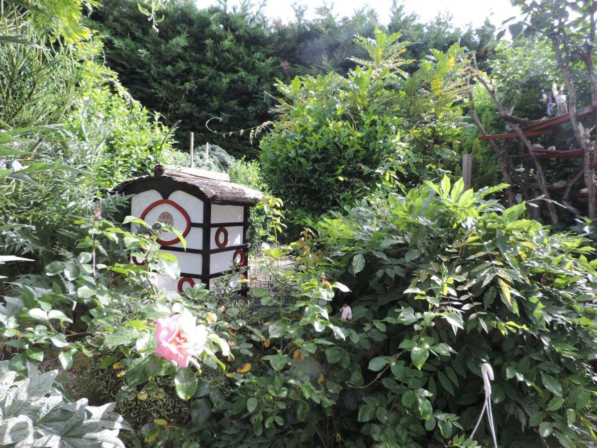 Chez Papy Et Mamy Bed and Breakfast Saint-Chef Buitenkant foto