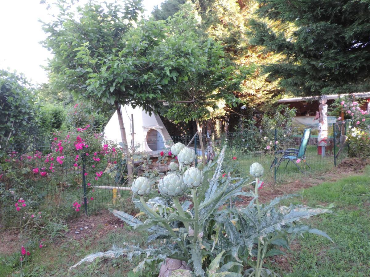 Chez Papy Et Mamy Bed and Breakfast Saint-Chef Buitenkant foto